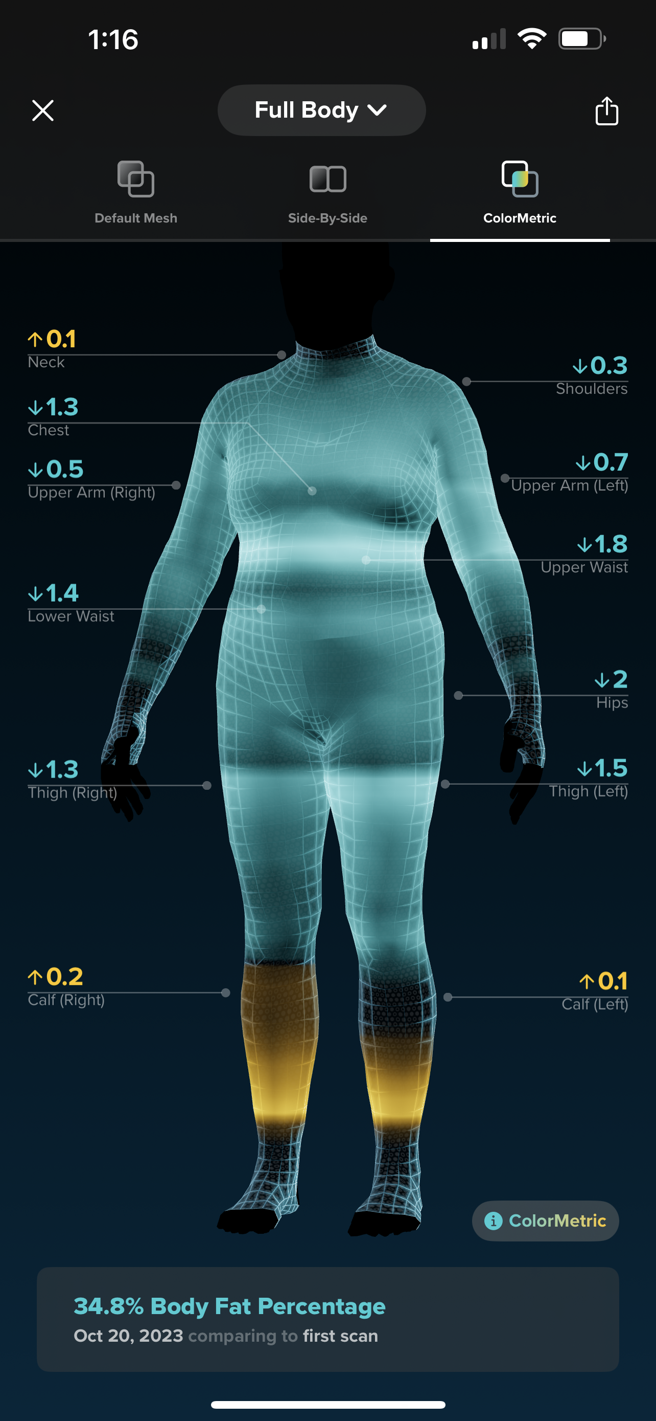 Marielou's progress as seen in the ColorMetic feature of the ZOZOFIT app
